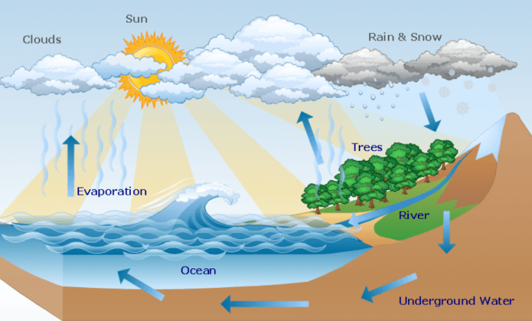 Overview of water: A Precious Resource