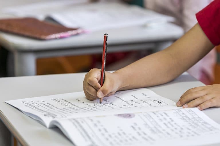NSW Selective Schools Test Guide