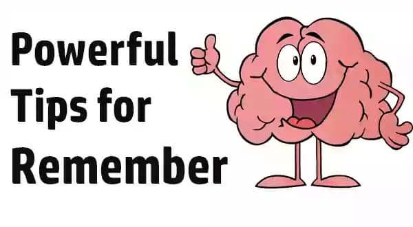Tips and Tricks How to Remember Everything You Learn