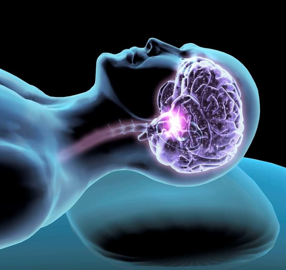 Why Our Brain Works Harder While We Fell Asleep?