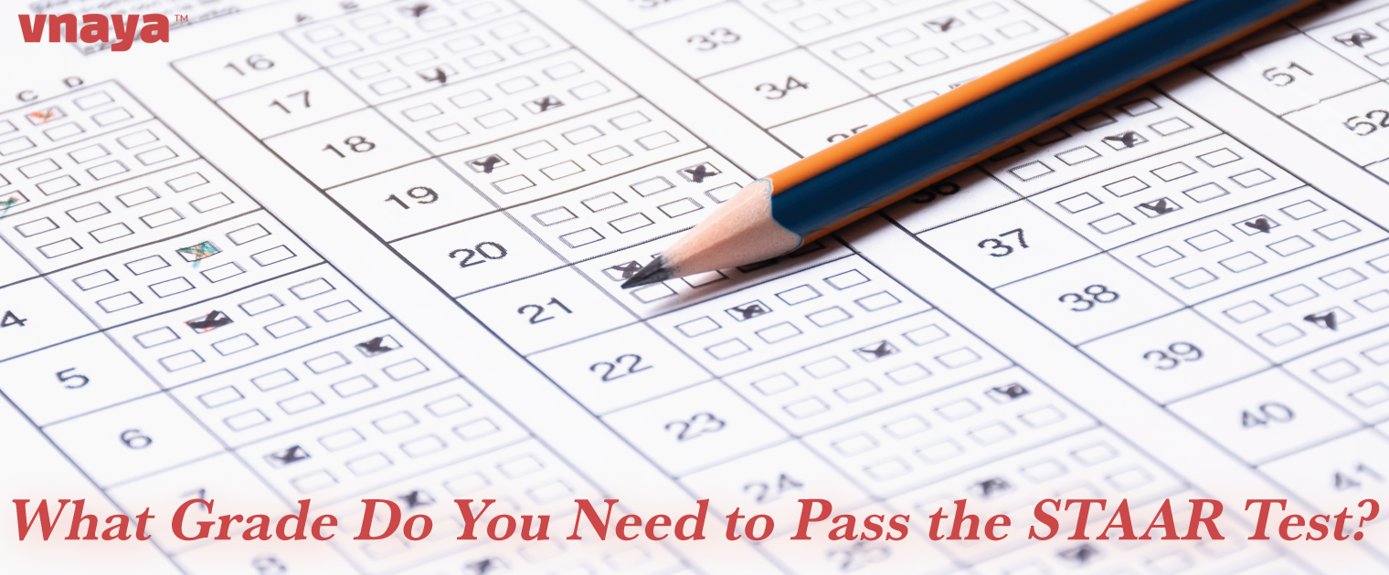 staar test